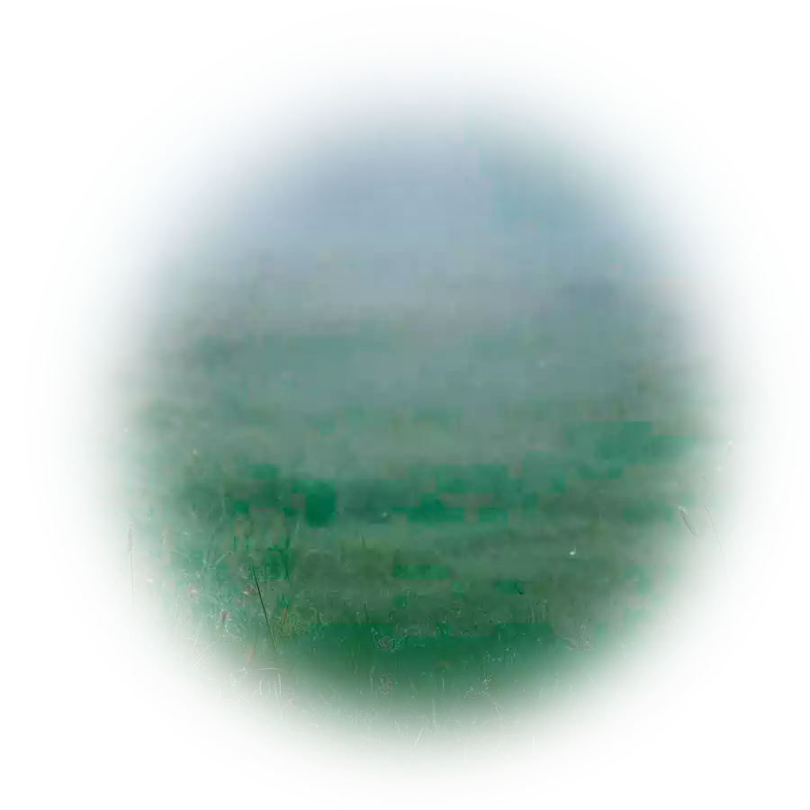 Вебстудия Капира