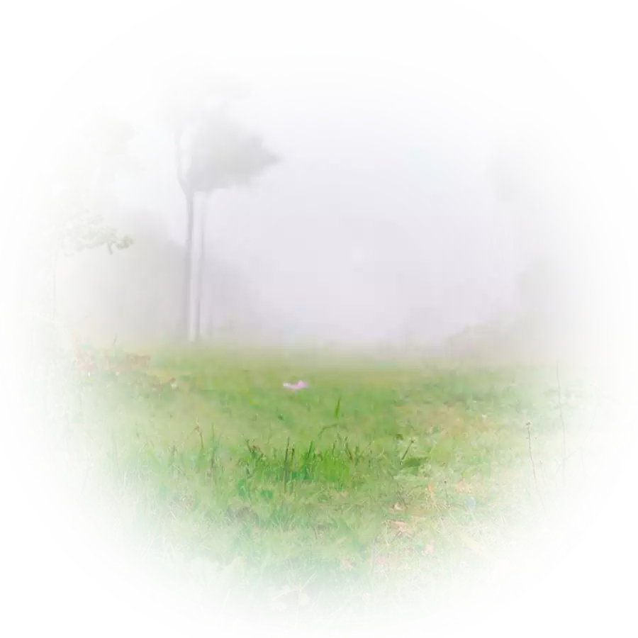 Лого Вебстудия Капира